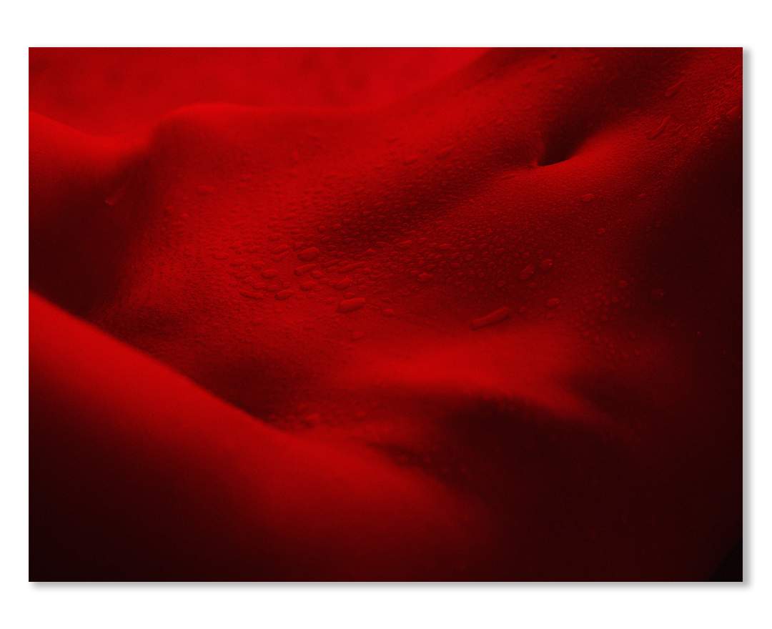 frank dursthoff - 15 red room 08