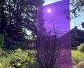 Gartengestaltung & Holzmanufaktur Porten - Exklusives Glas-Design...Spiel aus Licht und Schatten Thumbnail