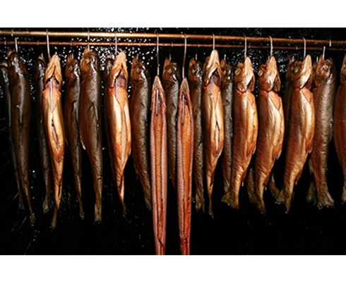Forellenzucht Fischer - Geräucherte Forellen/ Lachsforellen/ Bachsaiblinge