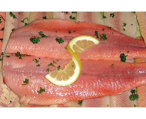 Forellenzucht Fischer - Filets auf Bestellung