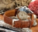 Eberhard & Co - Eberhard & Co Tazio Nuvolari Ref. 31030  Thumbnail