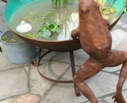 Guss - Frosch