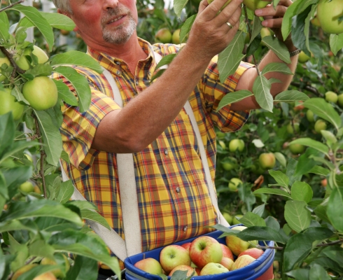 Obsthof Dreissen - Äpfel aus eigenem Anbau