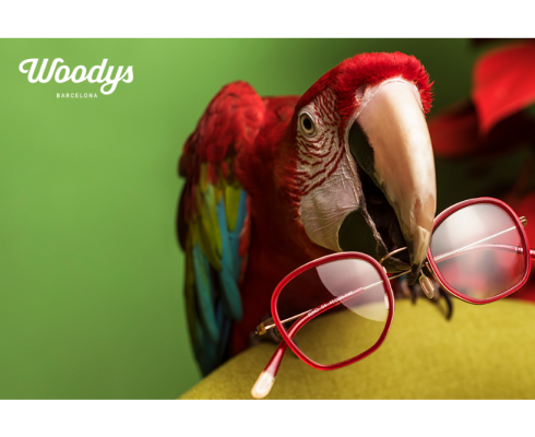 Woodys Eyewear - Von Wassersport zur Brillenfassung