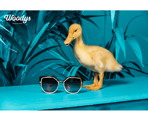 Woodys Eyewear - Von Wassersport zur Brillenfassung