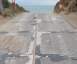 CORBEZZOLI! - coccorrocci Thumbnail