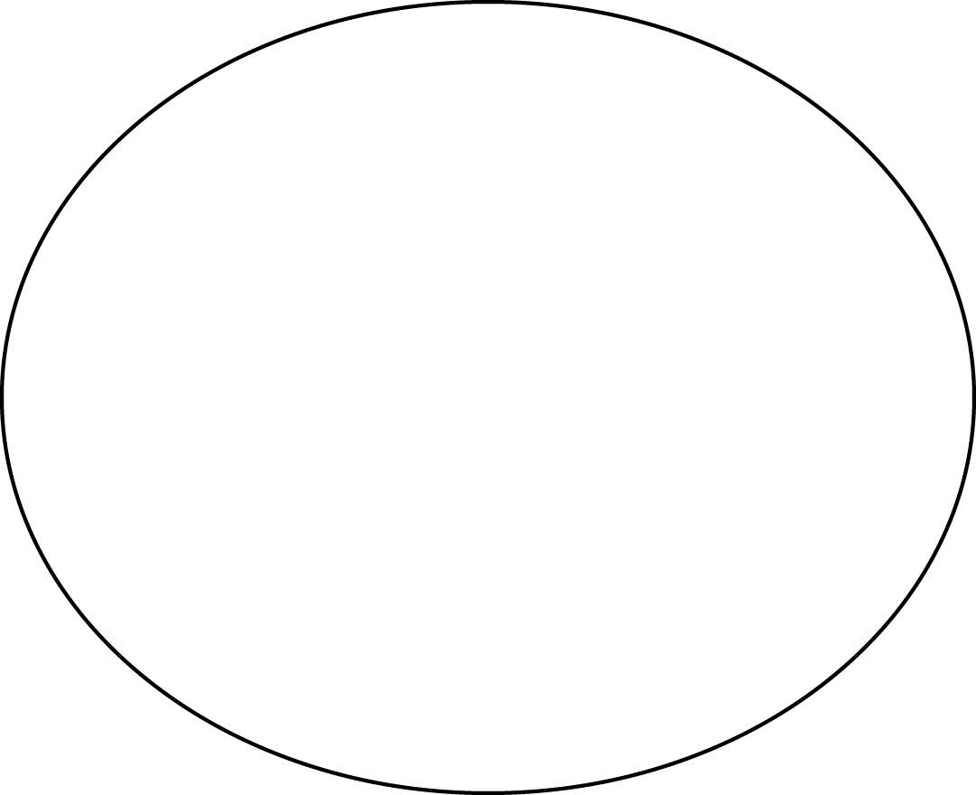 NDSF - Test-Item