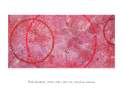 Constanze Claudia Lorenz - Pink Vibration Thumbnail