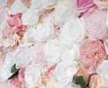 Nelliflower® - COTTON CANDY | Blumenwand Element aus Seidenblumen Thumbnail