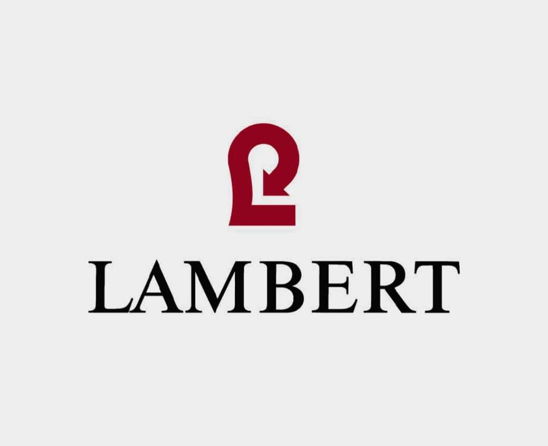 Lambert - Lambert, EINSTEIN HASE ALUMINIUM, Fb. Bronze Antik