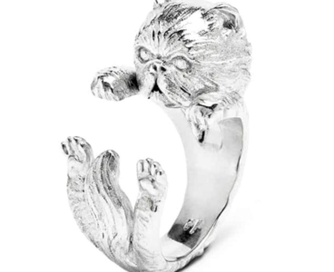  - Cat-Fever - Hug Ringe individualisiert