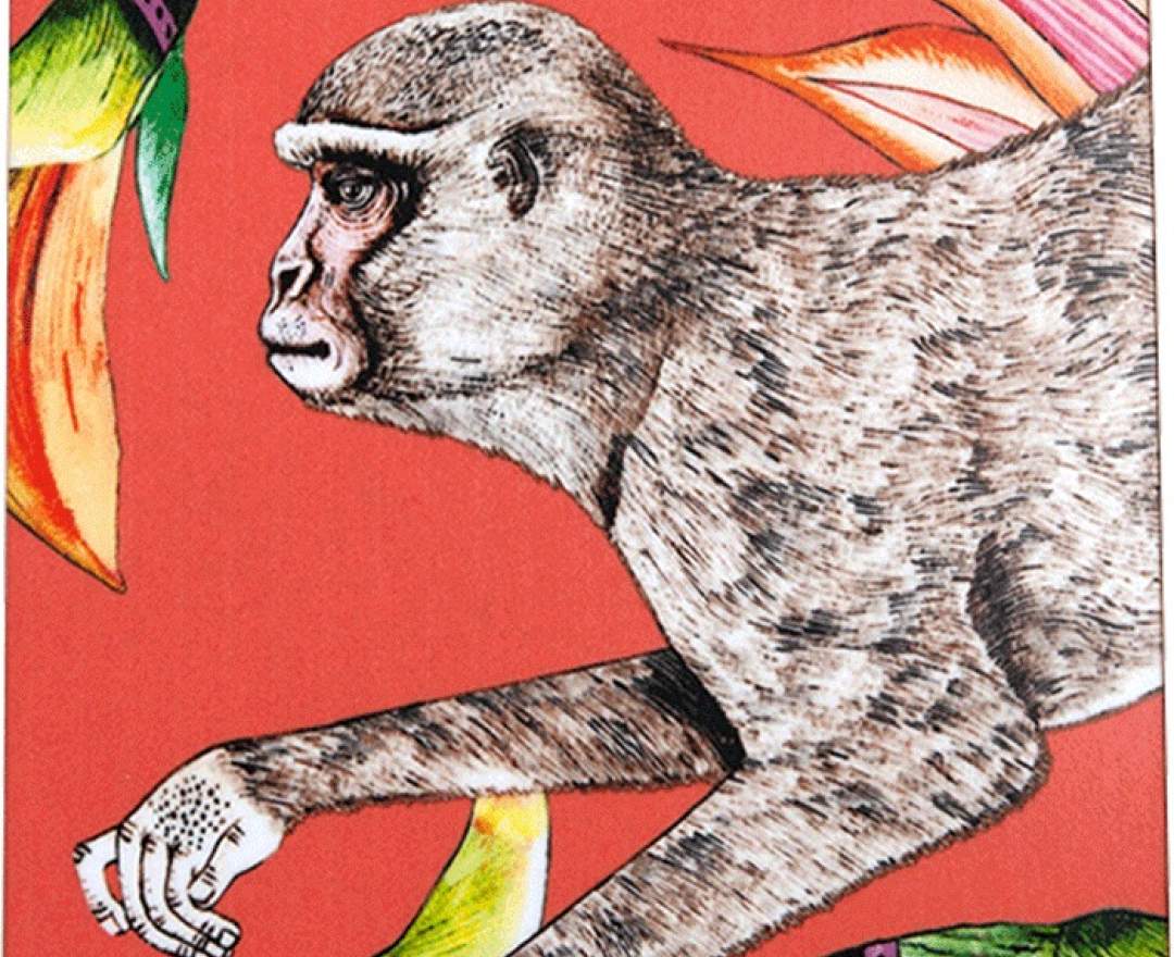 Ardmore - Ardmore, Untersetzer, Monkey Paradise Coral, Set mit 4 Stück