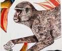 Ardmore - Ardmore, Untersetzer, Monkey Paradise Sandstone, Set mit 4 Stück Thumbnail