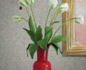 KT-Exclusive - Florale Tapeten - KT20808 Thumbnail
