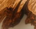 wohnsektion - Baumscheibe Eiche mit Epoxidharz 370 x 116cm Thumbnail