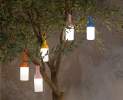 Sompex - Sompex ELO, LED Tischleuchte, Orange Thumbnail