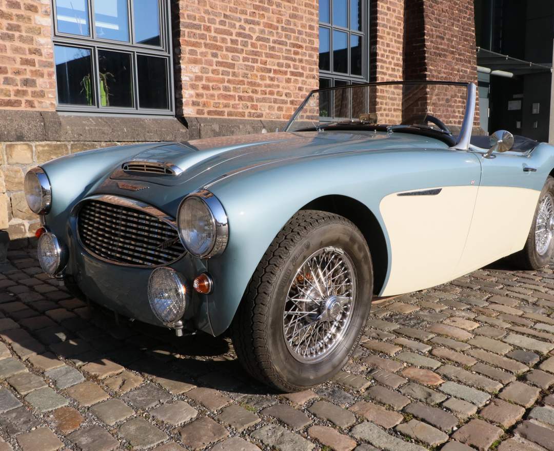 Austin Healey - Austin Healey 100/6 BN4