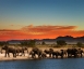 edeltravel Luxusreisen - Flugsafari Tansania - Reise Thumbnail