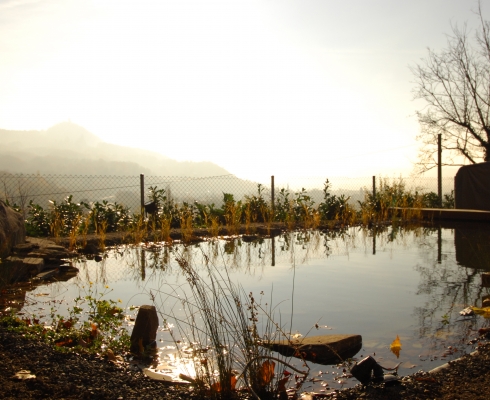 Crämer & Wollweber Garten- und Landschaftsbau GmbH Anlage eines Gartenteiches/einer Wasserfläche 