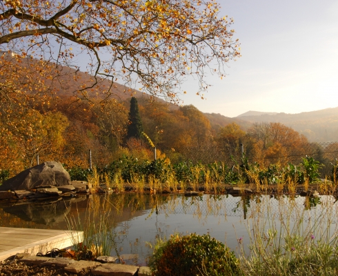 Crämer & Wollweber Garten- und Landschaftsbau GmbH - Anlage eines Gartenteiches/einer Wasserfläche 