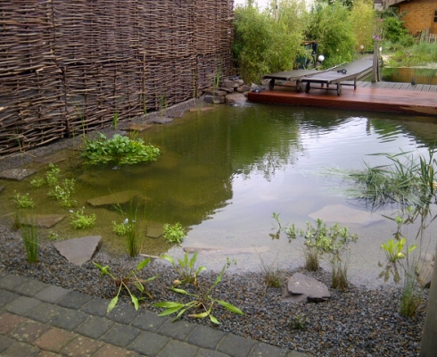 Crämer & Wollweber Garten- und Landschaftsbau GmbH Gartenteich mit Holzdeckerweiterung