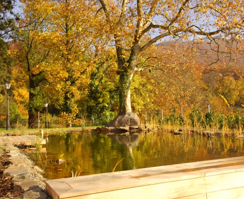 Crämer & Wollweber Garten- und Landschaftsbau GmbH - Anlage eines Gartenteiches/einer Wasserfläche 