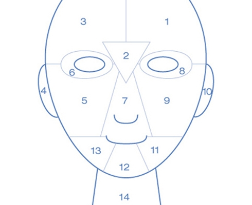 dermalogica - *Gratis* Face Mapping - Hautanalyse 