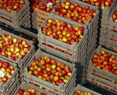 Obsthof Dreissen - Äpfel aus eigenem Anbau