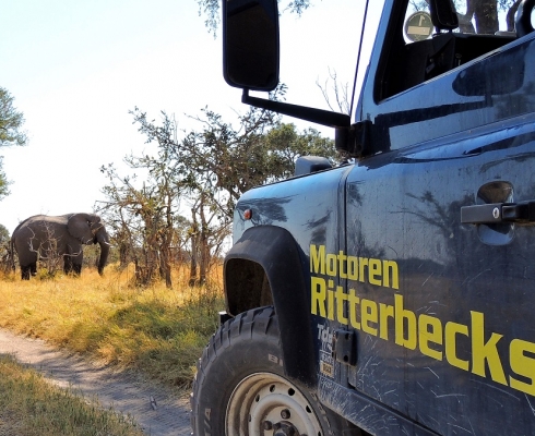 Motoren Ritterbecks Wir gehen für Sie durch 