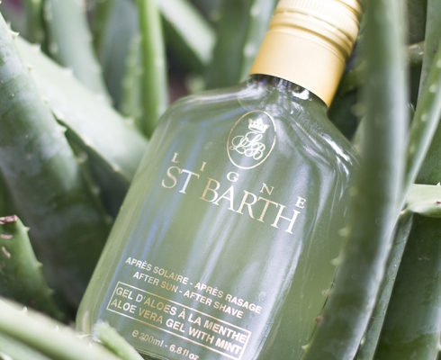 Ligne St. Barth - Ligne St. Barth Aloe Vera Gel mit Minze