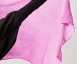 Judith Haarmann - Flamingo  Thumbnail