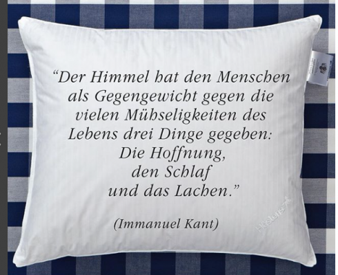  - Premium Orthopädisches Kissen Hästens