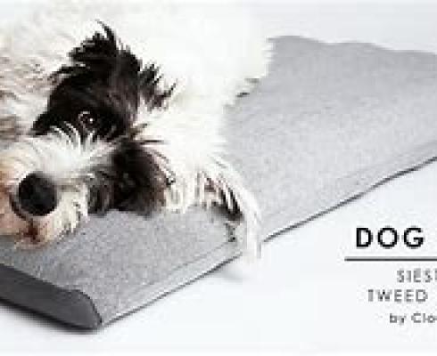 Cloud 7 Hundebett Siesta M