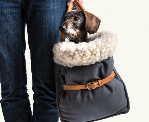Cloud 7 Hundetasche Köln