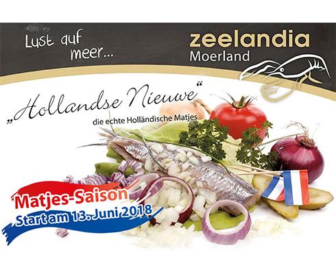 Zeelandia Moerland - Hollandse Nieuwe