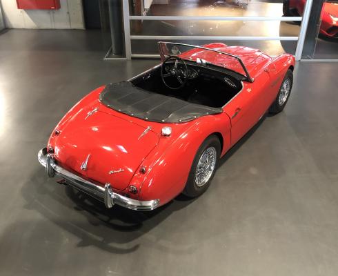 Austin Healey - Austin Healey 100/6 Overdrive mit Historie