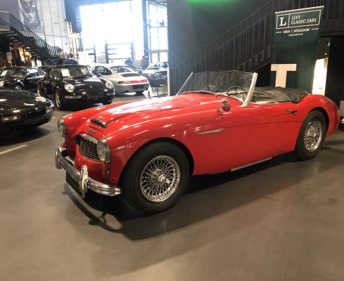 Austin Healey - Austin Healey 100/6 Overdrive mit Historie