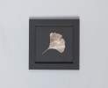 Lu Interior Berlin - Handveredeltes Ginkgoblatt Thumbnail