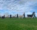 Molbach Alpacas - Alpaka Wanderung Thumbnail