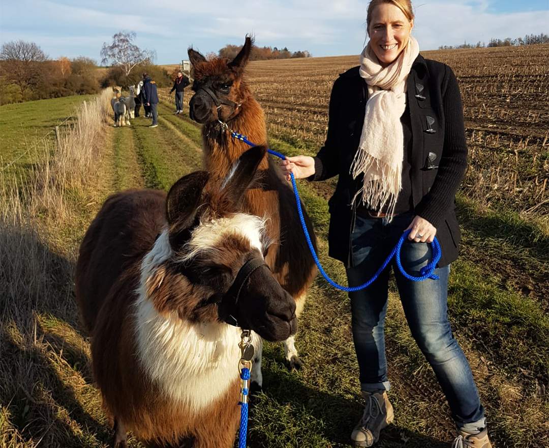 Molbach Alpacas - Alpaka Wanderung