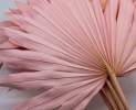 1st Tannendiele - Bundle Palme, light pink Thumbnail