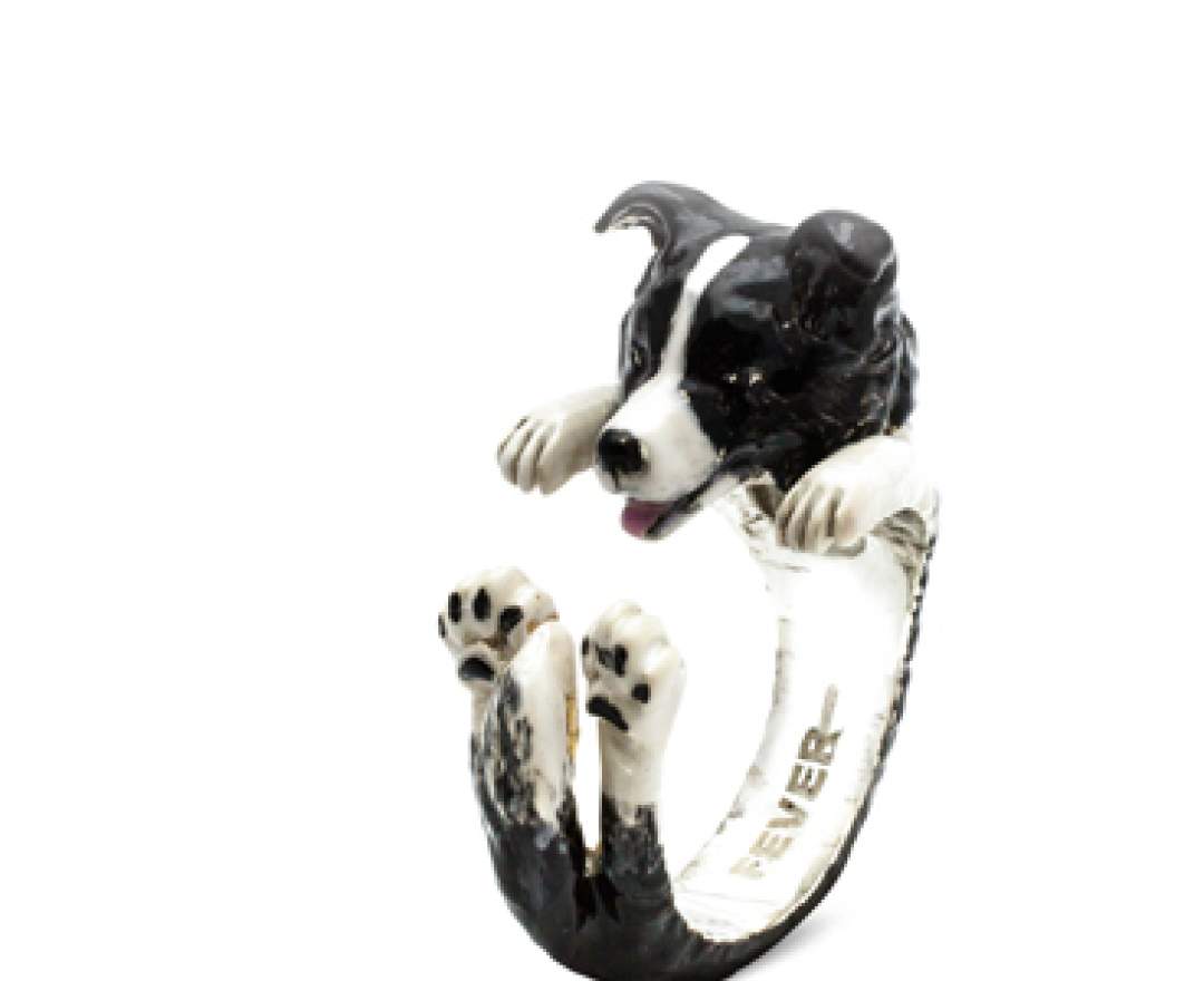Dog-Fever - Hug Ringe individualisiert