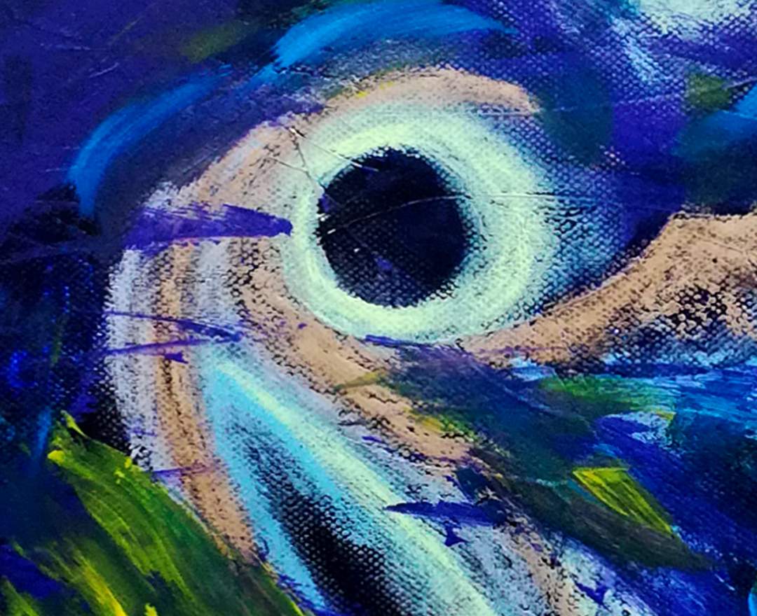 THE EYE