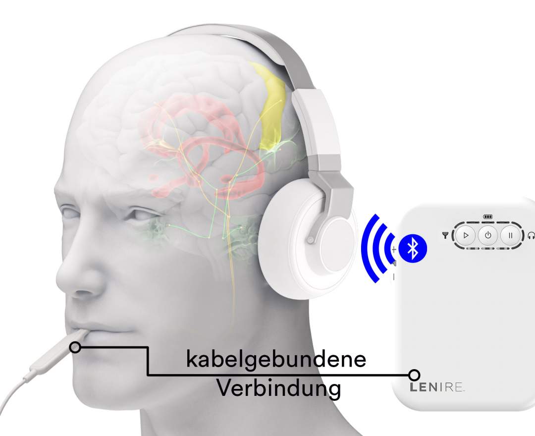 Lenire Lenire ® - Umfangreiche Analyse und Beratung