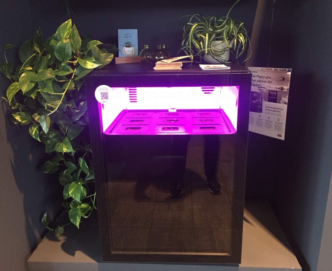 Miele - Plantcube