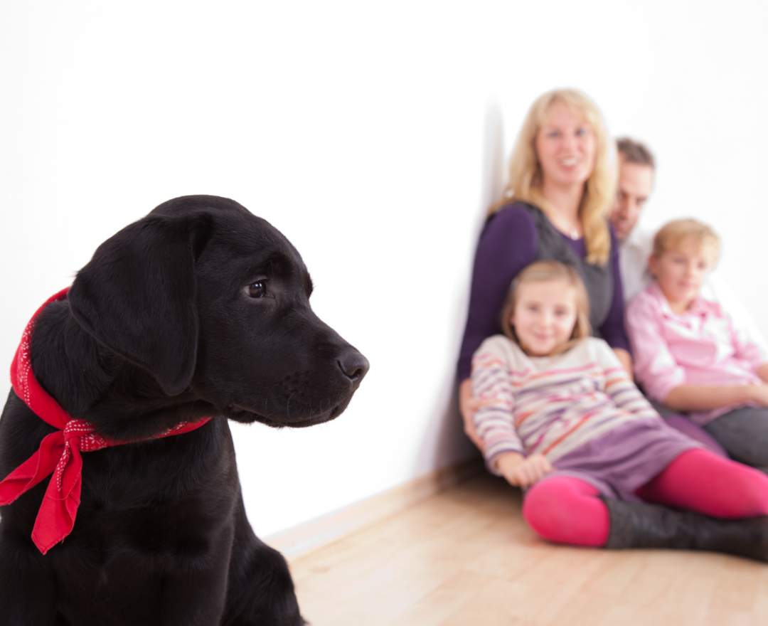 Fotostudio Lichtschmiede - Familienshooting