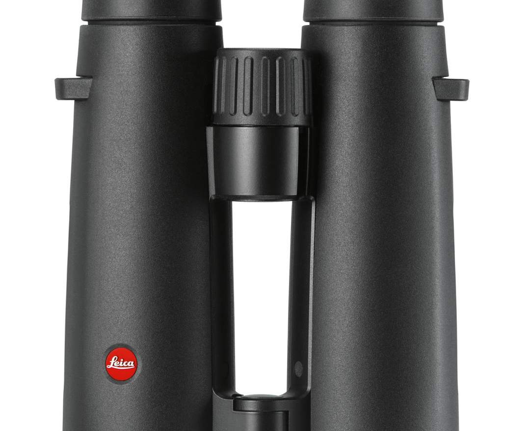 Leica NOCTIVID 10x42, schwarz