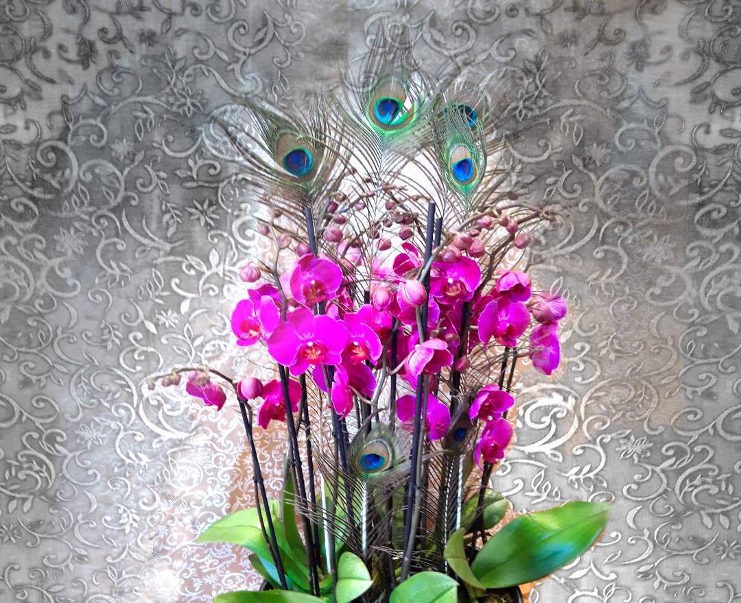 Blumen Anemone Orchideen-Schale mit Pfauenfedern