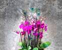 Blumen Anemone - Orchideen-Schale mit Pfauenfedern Thumbnail