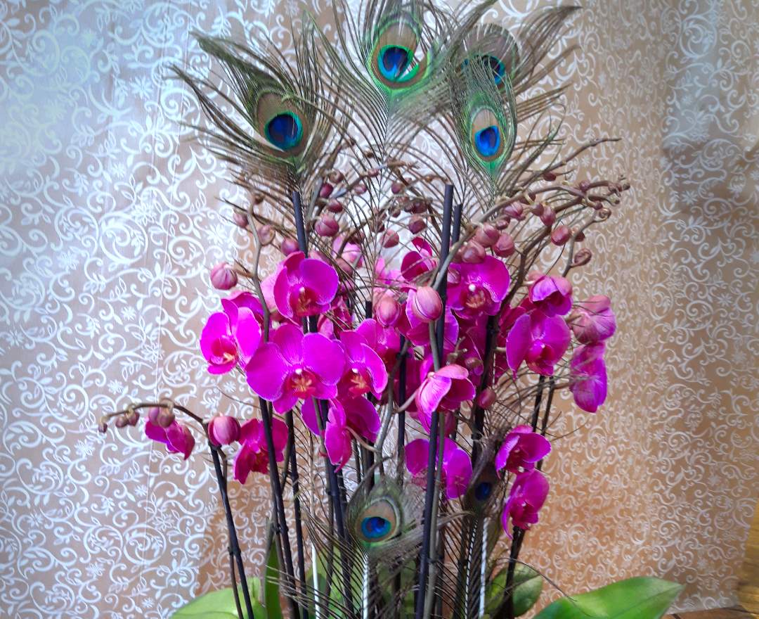 Blumen Anemone - Orchideen-Schale mit Pfauenfedern